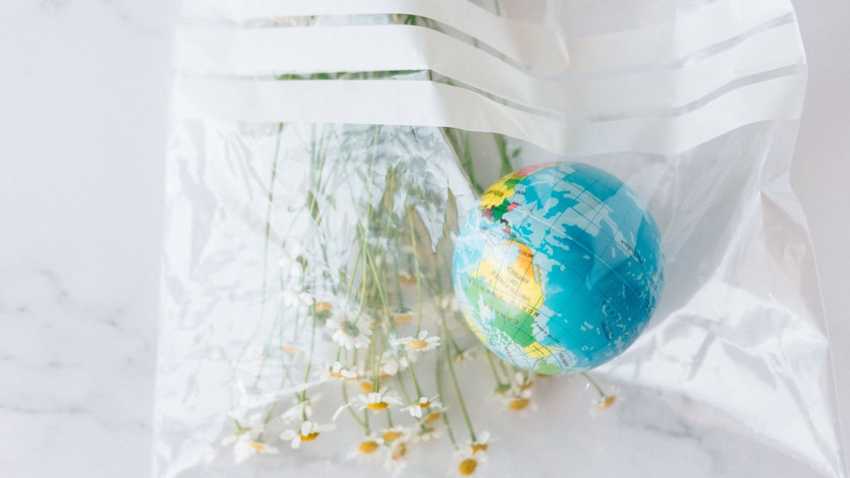 Symbolic image of a globe and daisies in a plastic bag, highlighting environmental conservation.